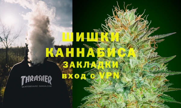 ГАЛЛЮЦИНОГЕННЫЕ ГРИБЫ Липки