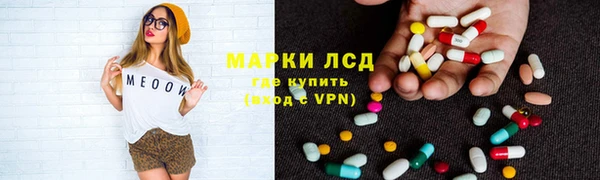 ГАЛЛЮЦИНОГЕННЫЕ ГРИБЫ Липки