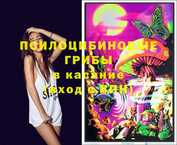 ГАЛЛЮЦИНОГЕННЫЕ ГРИБЫ Липки